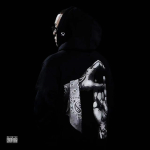 山东妇女精品BBWBBW
