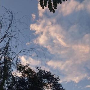 山东妇女精品BBWBBW
